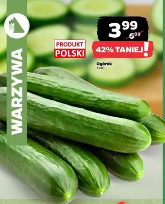Netto Ogórek oferta