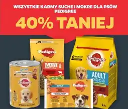 Netto Karma sucha i mokra dla psów Pedigree oferta