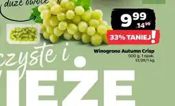 Netto Winogrono Autumn Crisp oferta