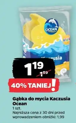 Netto Gąbka do mycia Kaczusia Ocean oferta