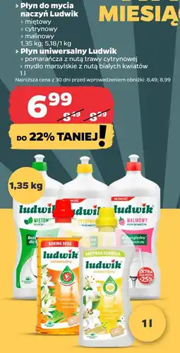 Netto Płyn do mycia naczyń Ludwik (miętowy, cytrynowy, malinowy) 1,35 kg / Płyn uniwersalny Ludwik 1 l oferta