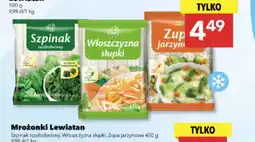 Lewiatan Mrożonki Lewiatan (Szpinak rozdrobniony, Włoszczyzna słupki, Zupa jarzynowa) oferta