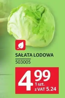 Selgros Sałata lodowa oferta