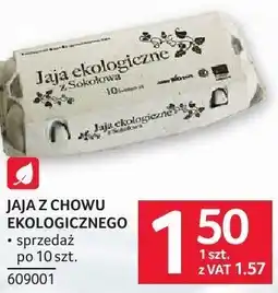 Selgros Jaja z chowu ekologicznego po 10 szt oferta