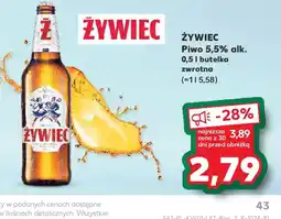 Kaufland Zywiec Piwo oferta