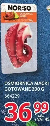 Selgros Ośmiornica macki gotowane NOR/SO 200 g oferta