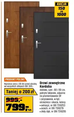 OBI Drzwi zewnętrzne DAB oferta