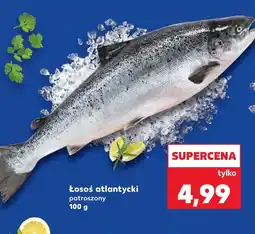 Kaufland Łosoś Kaufland oferta