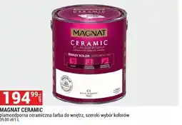 Merkury Market Farba Magnat oferta