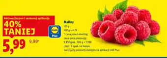 Lidl Maliny Plus-Plus oferta