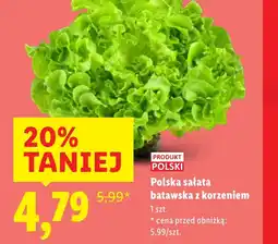 Lidl Sałata Polski oferta