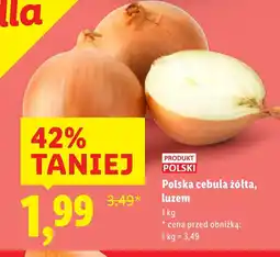 Lidl Cebula Polski oferta