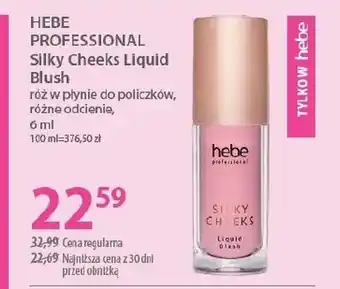 Róż do policzków Hebe Professional