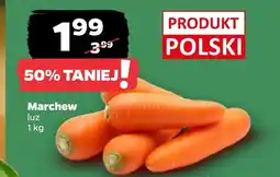 Netto Marchew Polski oferta