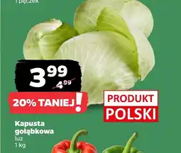 Netto Kapusta Polski oferta
