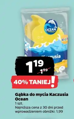 Netto Gąbka Ocean oferta