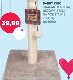 Moby Dick Barry King drapak dla kota oferta