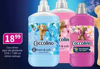 Coccolino płyn do płukania