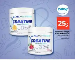 Dealz Monohydrat kreatyny w proszku ALLNUTRITION oferta