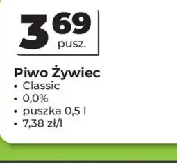 Odido Piwo Zywiec oferta