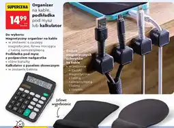 Biedronka Organizer oferta