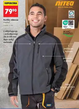 Biedronka Kurtka robocza Niteo oferta