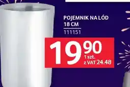 Selgros Pojemnik na lód oferta