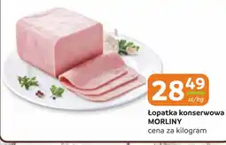 Gama Lopatka konserwowa Morliny oferta