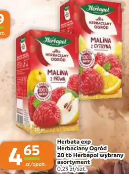 Gama Herbapol Herbata Ogrod oferta