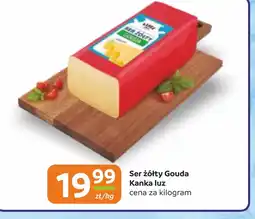 Gama Ser żółty Gouda Kanka luz oferta