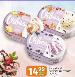 Gama Lody Vibes oferta