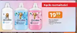 Gama Coccolino płyn do płukania oferta