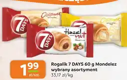 Gama Rogalik 7 Days oferta