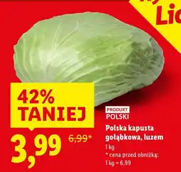 Lidl Polska kapusta gołąbkowa, luzem oferta
