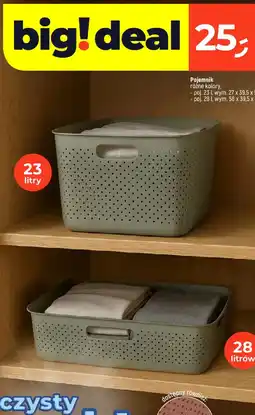 Dealz Pojemnik oferta