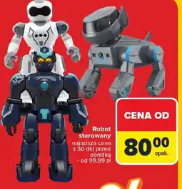 Carrefour Robot sterowany oferta