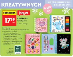 Biedronka Książeczka z farbami do malowania palcami Kayet oferta