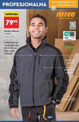 Biedronka Kurtka męska l-xxl Niteo Tools oferta