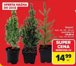 Carrefour Swierk oferta