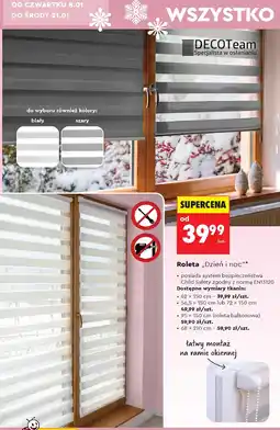 Biedronka Roleta balkonowa dzień i noc 68 x 210 cm Decoteam oferta