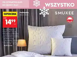 Biedronka Poduszka aloe vera 70 x 80 cm Smukee Home oferta