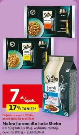 Auchan Sheba mokra karma dla kota oferta