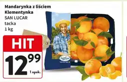 Intermarche Mandarynka z liściem Klementynka SAN LUCAR tacka 1 kg oferta