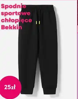 Pepco Bekkin Spodnie sportowe chłopięce oferta