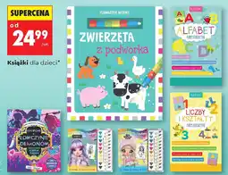 Biedronka Książki dla dzieci oferta
