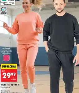 Biedronka GO ACTIVE Bluza lub spodnie oferta