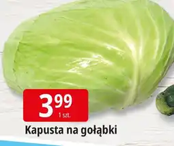 E.Leclerc Kapusta na gołąbki oferta