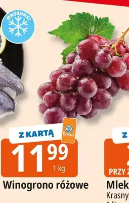 E.Leclerc Winogrono różowe oferta