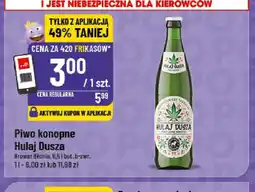 Polomarket Hulaj Dusza Piwo konopne oferta