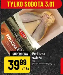 Polomarket Perliczka świeża oferta